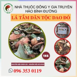 Gia Si 1kg La Tam Nguoi Sau Sinh Nguoi Dao Do Sapa Lao Cai Dan Toc Dao Cho Me2
