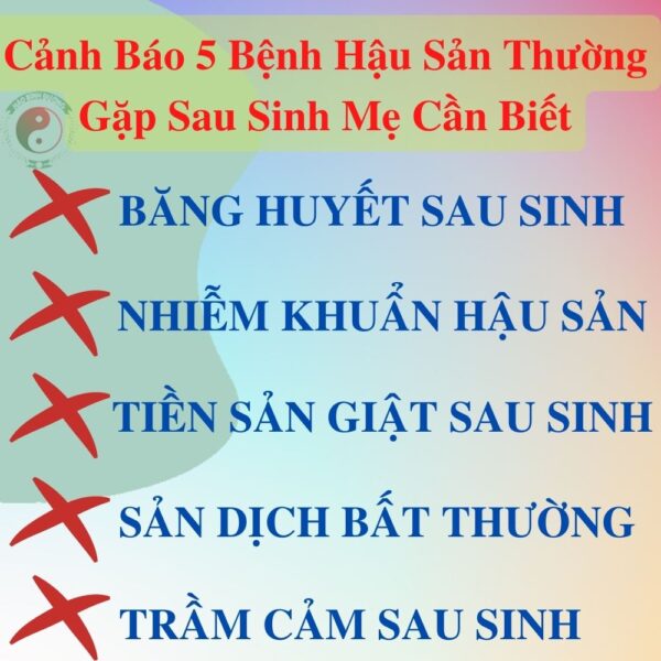 Gia Si 1kg La Tam Nguoi Sau Sinh Nguoi Dao Do Sapa Lao Cai Dan Toc Dao Cho Me5