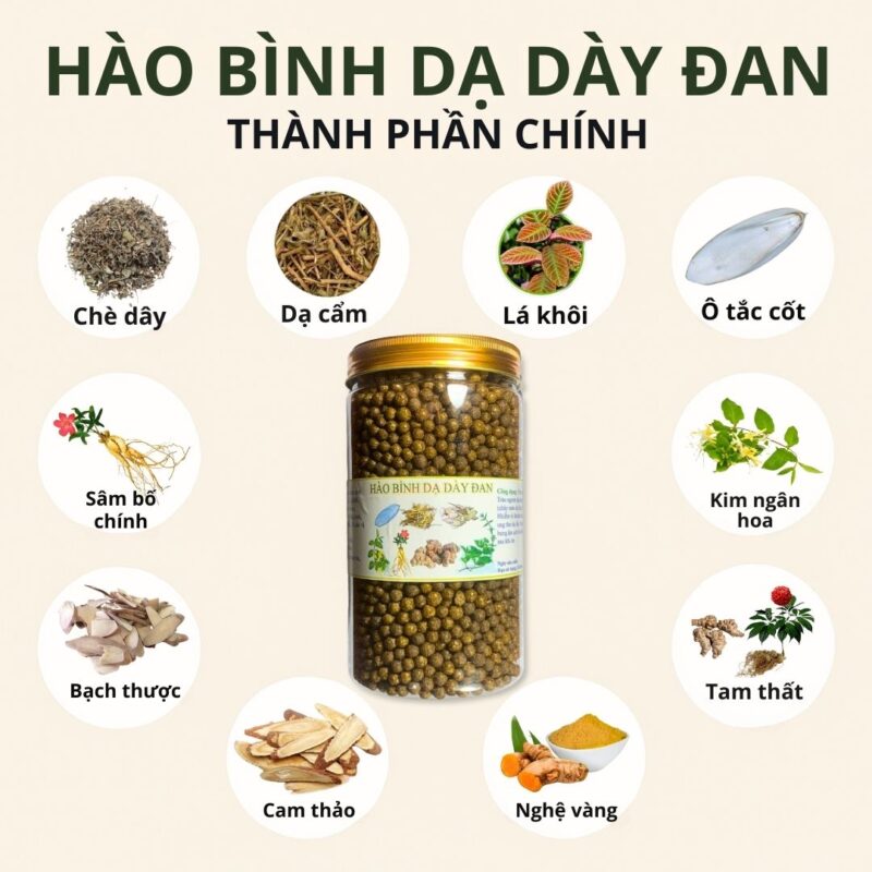 Thành phần Hào Bình Dạ Dày Đan có gì đặc biệt?