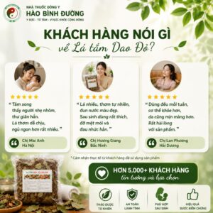 Lá Tắm Sau Sinh Người Dao Đỏ – Hỗ Trợ Phục Hồi Sức Khỏe Cho Mẹ Sau Sinh Hiệu Quả Lá Tắm Sau Sinh Người Dao Đỏ | Hỗ Trợ Phục Hồi Cho Mẹ Sau Sinh 8