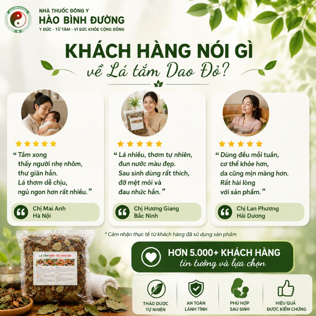 Lá Tắm Sau Sinh Người Dao Đỏ | Hỗ Trợ Phục Hồi Cho Mẹ Sau Sinh 8 Lá Tắm Sau Sinh Người Dao Đỏ | Hỗ Trợ Phục Hồi Cho Mẹ Sau Sinh 8