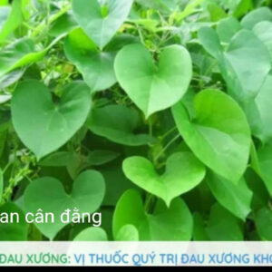 1Kg Day Dau Xuong Kho Cai Thien Gut Va Xuong Khop6