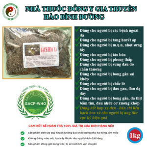 Bach Hoa Xa Thiet Thao Giup Cai Thien Tao Bon Phong Thap Huyet Ap1