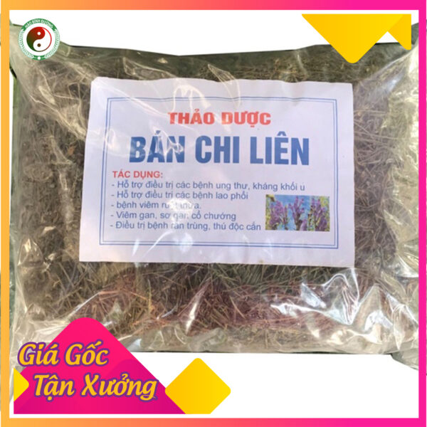 Ban Chi Lien Hoang Cam Rau Giup Cai Thien Benh Ruot Thua Lao Phoi