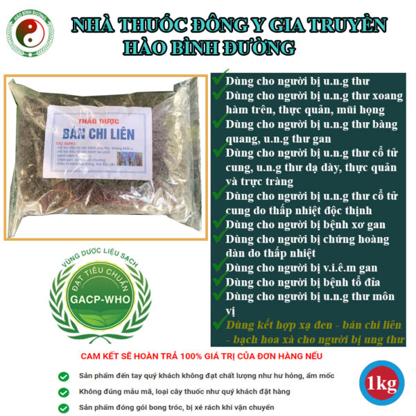 Ban Chi Lien Hoang Cam Rau Giup Cai Thien Benh Ruot Thua Lao Phoi1