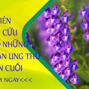Ban Chi Lien Hoang Cam Rau Giup Cai Thien Benh Ruot Thua Lao Phoi5