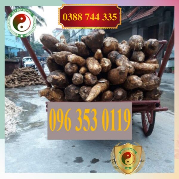 Bot San Day Nguyen Chat Chinh Hang Bot San Day Ta 1kg5