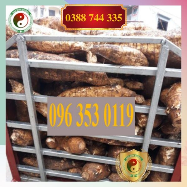 Bot San Day Nguyen Chat Chinh Hang Bot San Day Ta 1kg6