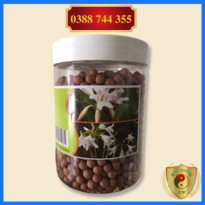 CHINH HANG Vien Trinh Nu Hoang Cung Cao Xa Den Giup Tieu Tru Khoi U U Xo Tu Cung U Nang Buong Trung Tuyen Giap1