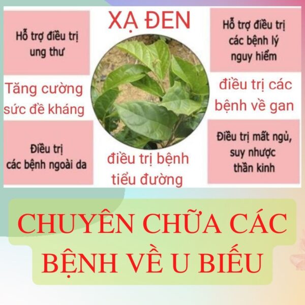 Gia Si 5kg La Cay Xa Den Kho Hoa Binh Ho Tro Dieu Tri Mau Nhiem Mo2