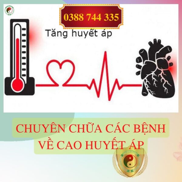 Gia Si 5kg La Cay Xa Den Kho Hoa Binh Ho Tro Dieu Tri Mau Nhiem Mo7