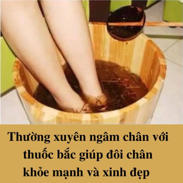 Nuoc Ngam Chan Thuoc Bac De Ngu Cho Nguoi Lon Tuoi Giup Luu Thong Mau Giam Dau Lung Moi Goi Dau Xuong Khop3