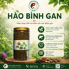 HÀO BÌNH GAN – THẢO DƯỢC HỖ TRỢ CHĂM SÓC SỨC KHỎE GAN