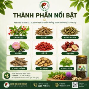 HÀO BÌNH GAN – THẢO DƯỢC HỖ TRỢ CHĂM SÓC SỨC KHỎE GAN 3