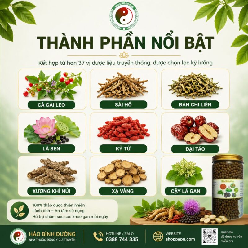 HÀO BÌNH GAN – THẢO DƯỢC HỖ TRỢ CHĂM SÓC SỨC KHỎE GAN 3