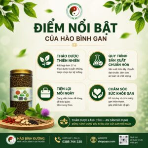 HÀO BÌNH GAN – THẢO DƯỢC HỖ TRỢ CHĂM SÓC SỨC KHỎE GAN 4
