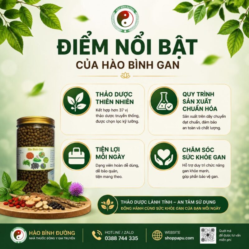 HÀO BÌNH GAN – THẢO DƯỢC HỖ TRỢ CHĂM SÓC SỨC KHỎE GAN 4