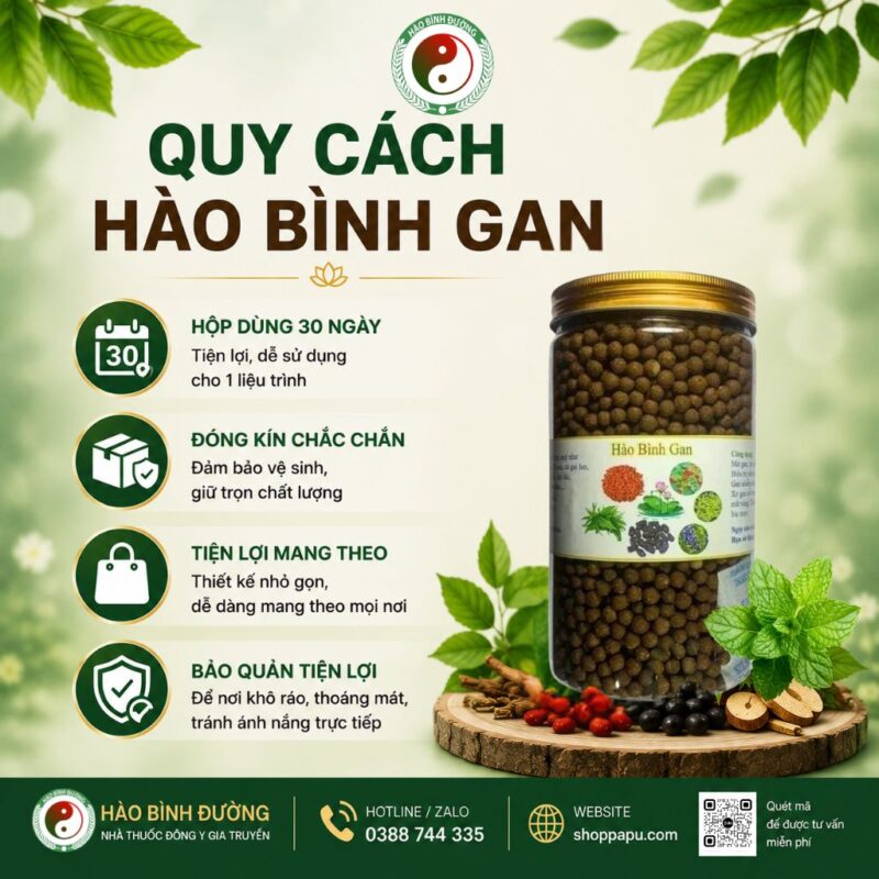 HÀO BÌNH GAN – THẢO DƯỢC HỖ TRỢ CHĂM SÓC SỨC KHỎE GAN 6