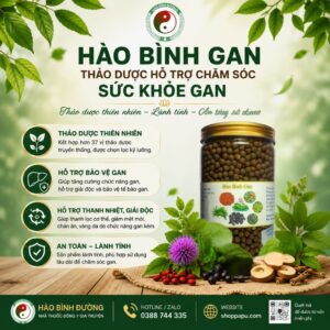 HÀO BÌNH GAN – THẢO DƯỢC HỖ TRỢ CHĂM SÓC SỨC KHỎE GAN 7