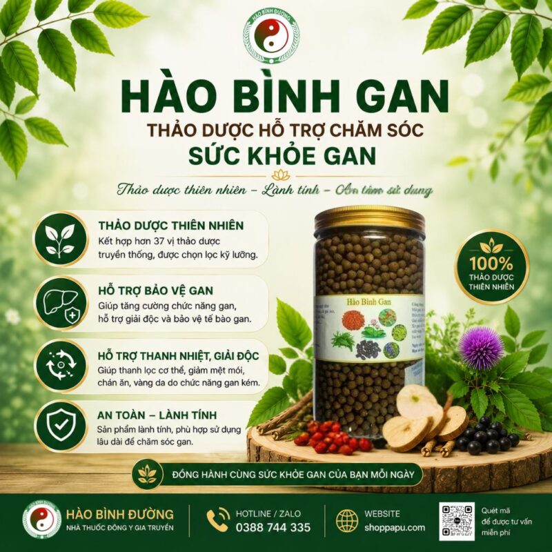 HÀO BÌNH GAN – THẢO DƯỢC HỖ TRỢ CHĂM SÓC SỨC KHỎE GAN 8