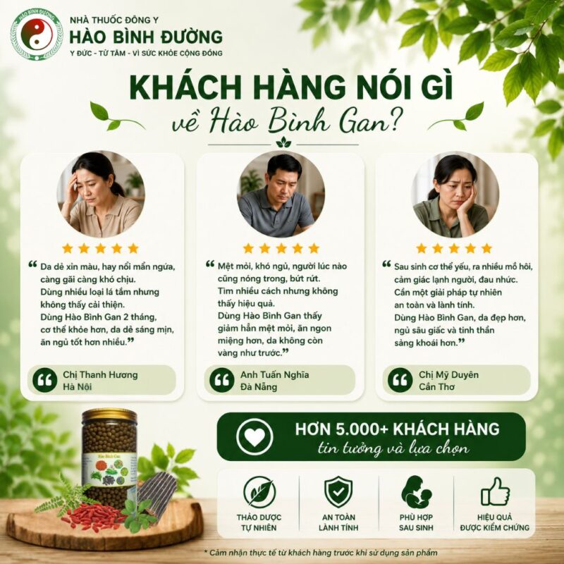 HÀO BÌNH GAN – THẢO DƯỢC HỖ TRỢ CHĂM SÓC SỨC KHỎE GAN 9
