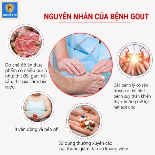Hao Binh Bo Huyet, Hao Binh Bo Than Sinh Tinh, Hao Binh Bo Ty, Hao Binh Da Day Dan, Hao Binh Da Nang Buong Trung, Hao Binh Gan, Hao Binh Gan (Mun, Viem Da, Ngua,...), Hao Binh Giam Can, Hao Binh Gout, Hao Binh Khop Dan, Hao Binh On Dinh Huyet Ap, Hao Binh Tam Dan, Hao Binh Than Dan, Hao Binh Tien Dan, Hao Binh Tieu Duong Dan, Hao Binh Tieu U Buou, Hao Binh Tri Noi Tri Ngoai, Hao Binh Viem Phu Khoa, Hao Binh Viem Xoang, Hao Binh Suy Gian Tinh Mach, Hao Binh Tieu Dem, Hao Binh Vien Dieu Kinh Hao Binh Vien Cam Cum