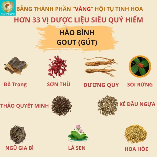 Hao Binh Bo Huyet, Hao Binh Bo Than Sinh Tinh, Hao Binh Bo Ty, Hao Binh Da Day Dan, Hao Binh Da Nang Buong Trung, Hao Binh Gan, Hao Binh Gan (Mun, Viem Da, Ngua,...), Hao Binh Giam Can, Hao Binh Gout, Hao Binh Khop Dan, Hao Binh On Dinh Huyet Ap, Hao Binh Tam Dan, Hao Binh Than Dan, Hao Binh Tien Dan, Hao Binh Tieu Duong Dan, Hao Binh Tieu U Buou, Hao Binh Tri Noi Tri Ngoai, Hao Binh Viem Phu Khoa, Hao Binh Viem Xoang, Hao Binh Suy Gian Tinh Mach, Hao Binh Tieu Dem, Hao Binh Vien Dieu Kinh Hao Binh Vien Cam Cum