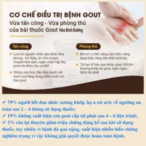 Hao Binh Bo Huyet, Hao Binh Bo Than Sinh Tinh, Hao Binh Bo Ty, Hao Binh Da Day Dan, Hao Binh Da Nang Buong Trung, Hao Binh Gan, Hao Binh Gan (Mun, Viem Da, Ngua,...), Hao Binh Giam Can, Hao Binh Gout, Hao Binh Khop Dan, Hao Binh On Dinh Huyet Ap, Hao Binh Tam Dan, Hao Binh Than Dan, Hao Binh Tien Dan, Hao Binh Tieu Duong Dan, Hao Binh Tieu U Buou, Hao Binh Tri Noi Tri Ngoai, Hao Binh Viem Phu Khoa, Hao Binh Viem Xoang, Hao Binh Suy Gian Tinh Mach, Hao Binh Tieu Dem, Hao Binh Vien Dieu Kinh Hao Binh Vien Cam Cum