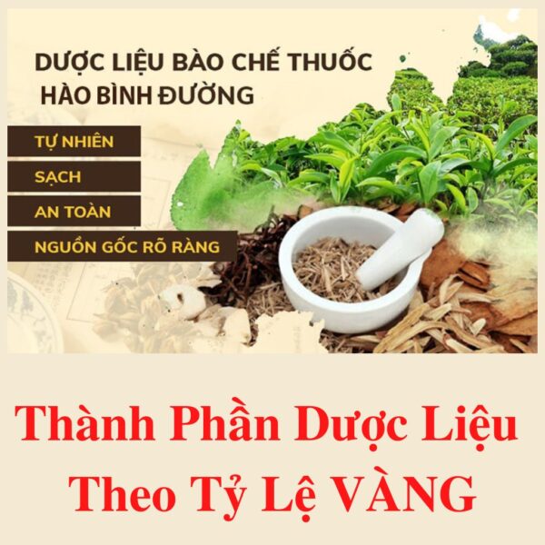 Hao Binh Bo Huyet, Hao Binh Bo Than Sinh Tinh, Hao Binh Bo Ty, Hao Binh Da Day Dan, Hao Binh Da Nang Buong Trung, Hao Binh Gan, Hao Binh Gan (Mun, Viem Da, Ngua,...), Hao Binh Giam Can, Hao Binh Gout, Hao Binh Khop Dan, Hao Binh On Dinh Huyet Ap, Hao Binh Tam Dan, Hao Binh Than Dan, Hao Binh Tien Dan, Hao Binh Tieu Duong Dan, Hao Binh Tieu U Buou, Hao Binh Tri Noi Tri Ngoai, Hao Binh Viem Phu Khoa, Hao Binh Viem Xoang, Hao Binh Suy Gian Tinh Mach, Hao Binh Tieu Dem, Hao Binh Vien Dieu Kinh Hao Binh Vien Cam Cum