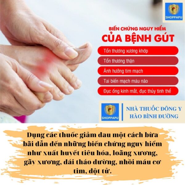 Hao Binh Bo Huyet, Hao Binh Bo Than Sinh Tinh, Hao Binh Bo Ty, Hao Binh Da Day Dan, Hao Binh Da Nang Buong Trung, Hao Binh Gan, Hao Binh Gan (Mun, Viem Da, Ngua,...), Hao Binh Giam Can, Hao Binh Gout, Hao Binh Khop Dan, Hao Binh On Dinh Huyet Ap, Hao Binh Tam Dan, Hao Binh Than Dan, Hao Binh Tien Dan, Hao Binh Tieu Duong Dan, Hao Binh Tieu U Buou, Hao Binh Tri Noi Tri Ngoai, Hao Binh Viem Phu Khoa, Hao Binh Viem Xoang, Hao Binh Suy Gian Tinh Mach, Hao Binh Tieu Dem, Hao Binh Vien Dieu Kinh Hao Binh Vien Cam Cum