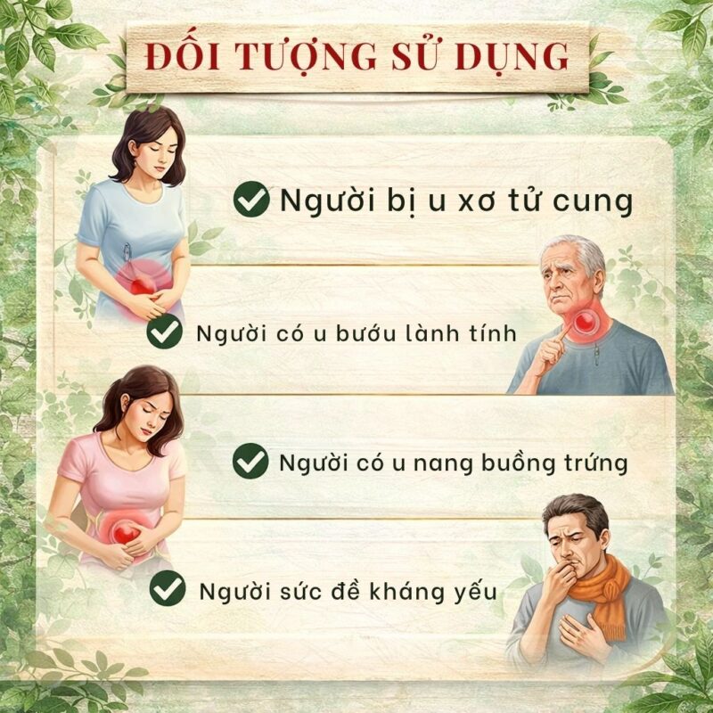 Đối tượng sử dụng