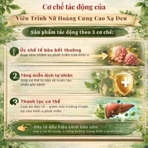 Cơ chế tác động của viên trinh nữ hoàng cung cao xạ đen