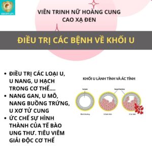 vien trinh nu hoang cung cao xa den5
