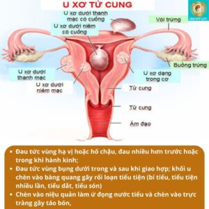 vien trinh nu hoang cung cao xa den6