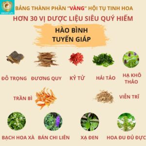 Hao Binh Bo Huyet, Hao Binh Bo Than Sinh Tinh, Hao Binh Bo Ty, Hao Binh Da Day Dan, Hao Binh Da Nang Buong Trung, Hao Binh Gan, Hao Binh Gan (Mun, Viem Da, Ngua,...), Hao Binh Giam Can, Hao Binh Gout, Hao Binh Khop Dan, Hao Binh On Dinh Huyet Ap, Hao Binh Tam Dan, Hao Binh Than Dan, Hao Binh Tien Dan, Hao Binh Tieu Duong Dan, Hao Binh Tieu U Buou, Hao Binh Tri Noi Tri Ngoai, Hao Binh Viem Phu Khoa, Hao Binh Viem Xoang, Hao Binh Suy Gian Tinh Mach, Hao Binh Tieu Dem, Hao Binh Vien Dieu Kinh Hao Binh Vien Cam Cum