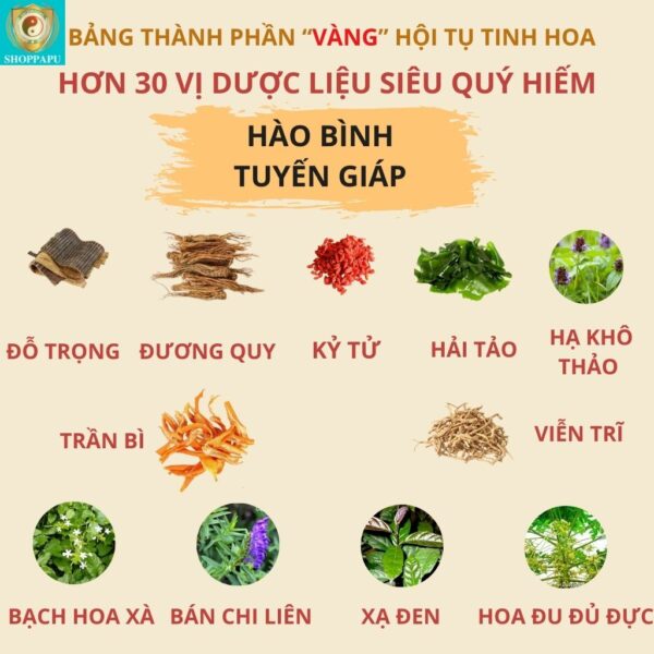 Hao Binh Bo Huyet, Hao Binh Bo Than Sinh Tinh, Hao Binh Bo Ty, Hao Binh Da Day Dan, Hao Binh Da Nang Buong Trung, Hao Binh Gan, Hao Binh Gan (Mun, Viem Da, Ngua,...), Hao Binh Giam Can, Hao Binh Gout, Hao Binh Khop Dan, Hao Binh On Dinh Huyet Ap, Hao Binh Tam Dan, Hao Binh Than Dan, Hao Binh Tien Dan, Hao Binh Tieu Duong Dan, Hao Binh Tieu U Buou, Hao Binh Tri Noi Tri Ngoai, Hao Binh Viem Phu Khoa, Hao Binh Viem Xoang, Hao Binh Suy Gian Tinh Mach, Hao Binh Tieu Dem, Hao Binh Vien Dieu Kinh Hao Binh Vien Cam Cum