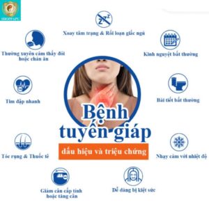 Hao Binh Bo Huyet, Hao Binh Bo Than Sinh Tinh, Hao Binh Bo Ty, Hao Binh Da Day Dan, Hao Binh Da Nang Buong Trung, Hao Binh Gan, Hao Binh Gan (Mun, Viem Da, Ngua,...), Hao Binh Giam Can, Hao Binh Gout, Hao Binh Khop Dan, Hao Binh On Dinh Huyet Ap, Hao Binh Tam Dan, Hao Binh Than Dan, Hao Binh Tien Dan, Hao Binh Tieu Duong Dan, Hao Binh Tieu U Buou, Hao Binh Tri Noi Tri Ngoai, Hao Binh Viem Phu Khoa, Hao Binh Viem Xoang, Hao Binh Suy Gian Tinh Mach, Hao Binh Tieu Dem, Hao Binh Vien Dieu Kinh Hao Binh Vien Cam Cum
