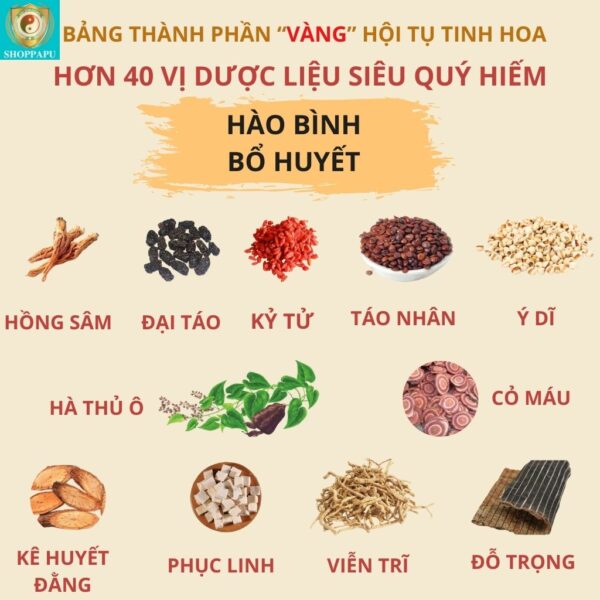 Hao Binh Bo Huyet, Hao Binh Bo Than Sinh Tinh, Hao Binh Bo Ty, Hao Binh Da Day Dan, Hao Binh Da Nang Buong Trung, Hao Binh Gan, Hao Binh Gan (Mun, Viem Da, Ngua,...), Hao Binh Giam Can, Hao Binh Gout, Hao Binh Khop Dan, Hao Binh On Dinh Huyet Ap, Hao Binh Tam Dan, Hao Binh Than Dan, Hao Binh Tien Dan, Hao Binh Tieu Duong Dan, Hao Binh Tieu U Buou, Hao Binh Tri Noi Tri Ngoai, Hao Binh Viem Phu Khoa, Hao Binh Viem Xoang