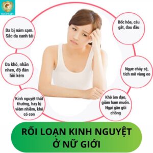 Hao Binh Bo Huyet, Hao Binh Bo Than Sinh Tinh, Hao Binh Bo Ty, Hao Binh Da Day Dan, Hao Binh Da Nang Buong Trung, Hao Binh Gan, Hao Binh Gan (Mun, Viem Da, Ngua,...), Hao Binh Giam Can, Hao Binh Gout, Hao Binh Khop Dan, Hao Binh On Dinh Huyet Ap, Hao Binh Tam Dan, Hao Binh Than Dan, Hao Binh Tien Dan, Hao Binh Tieu Duong Dan, Hao Binh Tieu U Buou, Hao Binh Tri Noi Tri Ngoai, Hao Binh Viem Phu Khoa, Hao Binh Viem Xoang