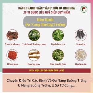 Hao Binh Bo Huyet, Hao Binh Bo Than Sinh Tinh, Hao Binh Bo Ty, Hao Binh Da Day Dan, Hao Binh Da Nang Buong Trung, Hao Binh Gan, Hao Binh Gan (Mun, Viem Da, Ngua,...), Hao Binh Giam Can, Hao Binh Gout, Hao Binh Khop Dan, Hao Binh On Dinh Huyet Ap, Hao Binh Tam Dan, Hao Binh Than Dan, Hao Binh Tien Dan, Hao Binh Tieu Duong Dan, Hao Binh Tieu U Buou, Hao Binh Tri Noi Tri Ngoai, Hao Binh Viem Phu Khoa, Hao Binh Viem Xoang, Hao Binh Suy Gian Tinh Mach, Hao Binh Tieu Dem, Hao Binh Vien Dieu Kinh Hao Binh Vien Cam Cum