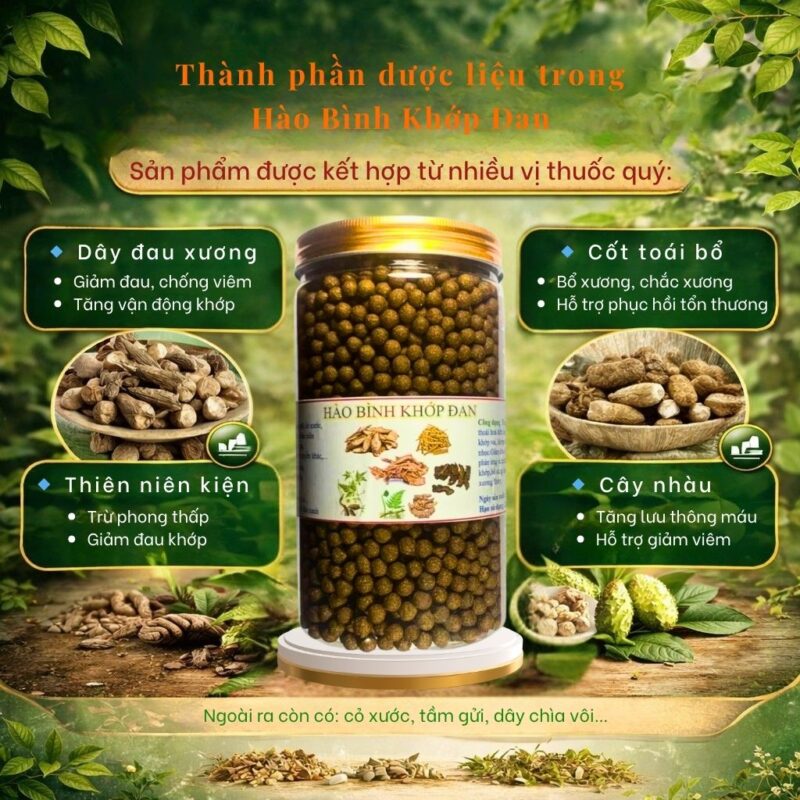 Thành phần dược liệu trong Hào Bình Khớp Đan