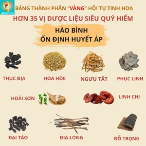 Hao Binh Bo Huyet, Hao Binh Bo Than Sinh Tinh, Hao Binh Bo Ty, Hao Binh Da Day Dan, Hao Binh Da Nang Buong Trung, Hao Binh Gan, Hao Binh Gan (Mun, Viem Da, Ngua,...), Hao Binh Giam Can, Hao Binh Gout, Hao Binh Khop Dan, Hao Binh On Dinh Huyet Ap, Hao Binh Tam Dan, Hao Binh Than Dan, Hao Binh Tien Dan, Hao Binh Tieu Duong Dan, Hao Binh Tieu U Buou, Hao Binh Tri Noi Tri Ngoai, Hao Binh Viem Phu Khoa, Hao Binh Viem Xoang, Hao Binh Suy Gian Tinh Mach, Hao Binh Tieu Dem, Hao Binh Vien Dieu Kinh Hao Binh Vien Cam Cum