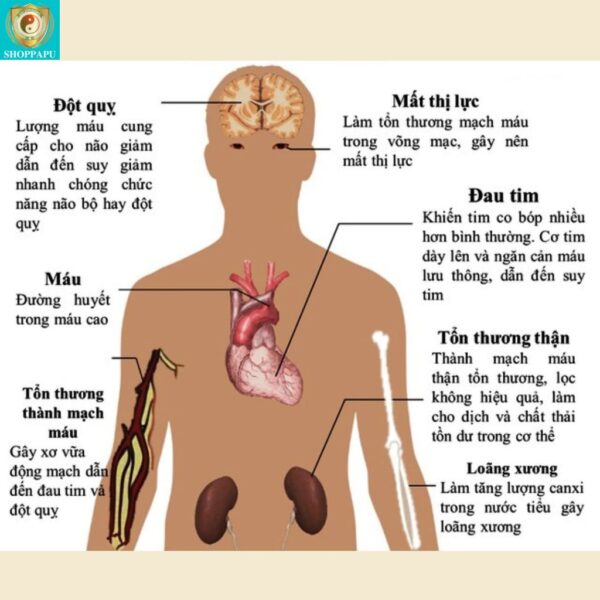 Hao Binh Bo Huyet, Hao Binh Bo Than Sinh Tinh, Hao Binh Bo Ty, Hao Binh Da Day Dan, Hao Binh Da Nang Buong Trung, Hao Binh Gan, Hao Binh Gan (Mun, Viem Da, Ngua,...), Hao Binh Giam Can, Hao Binh Gout, Hao Binh Khop Dan, Hao Binh On Dinh Huyet Ap, Hao Binh Tam Dan, Hao Binh Than Dan, Hao Binh Tien Dan, Hao Binh Tieu Duong Dan, Hao Binh Tieu U Buou, Hao Binh Tri Noi Tri Ngoai, Hao Binh Viem Phu Khoa, Hao Binh Viem Xoang, Hao Binh Suy Gian Tinh Mach, Hao Binh Tieu Dem, Hao Binh Vien Dieu Kinh Hao Binh Vien Cam Cum