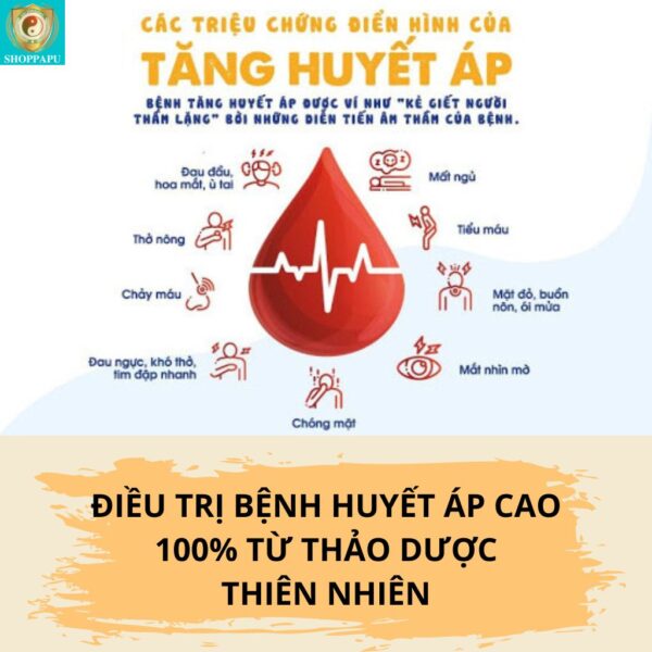 Hao Binh Bo Huyet, Hao Binh Bo Than Sinh Tinh, Hao Binh Bo Ty, Hao Binh Da Day Dan, Hao Binh Da Nang Buong Trung, Hao Binh Gan, Hao Binh Gan (Mun, Viem Da, Ngua,...), Hao Binh Giam Can, Hao Binh Gout, Hao Binh Khop Dan, Hao Binh On Dinh Huyet Ap, Hao Binh Tam Dan, Hao Binh Than Dan, Hao Binh Tien Dan, Hao Binh Tieu Duong Dan, Hao Binh Tieu U Buou, Hao Binh Tri Noi Tri Ngoai, Hao Binh Viem Phu Khoa, Hao Binh Viem Xoang, Hao Binh Suy Gian Tinh Mach, Hao Binh Tieu Dem, Hao Binh Vien Dieu Kinh Hao Binh Vien Cam Cum