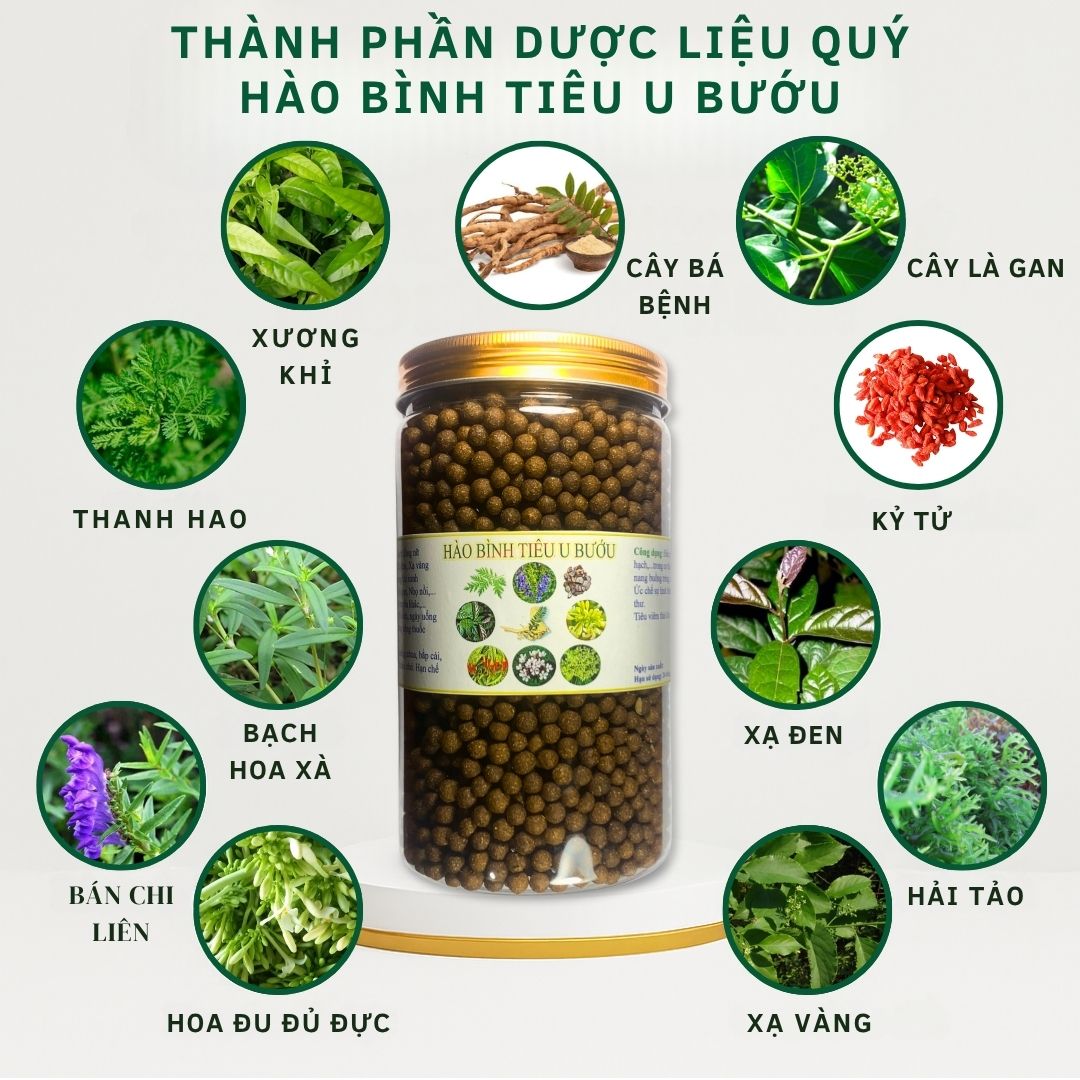 HÀO BÌNH BỔ HUYẾT Tặng 30 Tui Tra Có Hỗ trợ bổ hu hao binh tieu u buou3 1