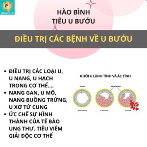 Hao Binh Bo Huyet, Hao Binh Bo Than Sinh Tinh, Hao Binh Bo Ty, Hao Binh Da Day Dan, Hao Binh Da Nang Buong Trung, Hao Binh Gan, Hao Binh Gan (Mun, Viem Da, Ngua,...), Hao Binh Giam Can, Hao Binh Gout, Hao Binh Khop Dan, Hao Binh On Dinh Huyet Ap, Hao Binh Tam Dan, Hao Binh Than Dan, Hao Binh Tien Dan, Hao Binh Tieu Duong Dan, Hao Binh Tieu U Buou, Hao Binh Tri Noi Tri Ngoai, Hao Binh Viem Phu Khoa, Hao Binh Viem Xoang, Hao Binh Suy Gian Tinh Mach, Hao Binh Tieu Dem, Hao Binh Vien Dieu Kinh Hao Binh Vien Cam Cum