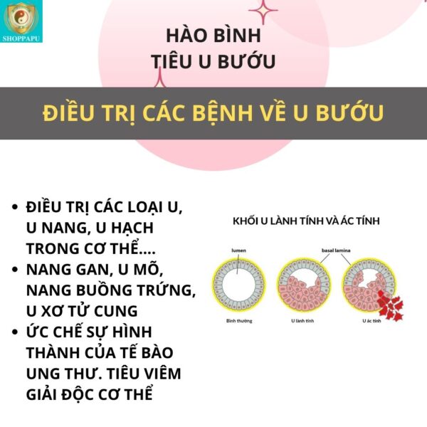 Hao Binh Bo Huyet, Hao Binh Bo Than Sinh Tinh, Hao Binh Bo Ty, Hao Binh Da Day Dan, Hao Binh Da Nang Buong Trung, Hao Binh Gan, Hao Binh Gan (Mun, Viem Da, Ngua,...), Hao Binh Giam Can, Hao Binh Gout, Hao Binh Khop Dan, Hao Binh On Dinh Huyet Ap, Hao Binh Tam Dan, Hao Binh Than Dan, Hao Binh Tien Dan, Hao Binh Tieu Duong Dan, Hao Binh Tieu U Buou, Hao Binh Tri Noi Tri Ngoai, Hao Binh Viem Phu Khoa, Hao Binh Viem Xoang, Hao Binh Suy Gian Tinh Mach, Hao Binh Tieu Dem, Hao Binh Vien Dieu Kinh Hao Binh Vien Cam Cum