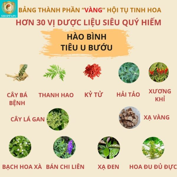 Hao Binh Bo Huyet, Hao Binh Bo Than Sinh Tinh, Hao Binh Bo Ty, Hao Binh Da Day Dan, Hao Binh Da Nang Buong Trung, Hao Binh Gan, Hao Binh Gan (Mun, Viem Da, Ngua,...), Hao Binh Giam Can, Hao Binh Gout, Hao Binh Khop Dan, Hao Binh On Dinh Huyet Ap, Hao Binh Tam Dan, Hao Binh Than Dan, Hao Binh Tien Dan, Hao Binh Tieu Duong Dan, Hao Binh Tieu U Buou, Hao Binh Tri Noi Tri Ngoai, Hao Binh Viem Phu Khoa, Hao Binh Viem Xoang, Hao Binh Suy Gian Tinh Mach, Hao Binh Tieu Dem, Hao Binh Vien Dieu Kinh Hao Binh Vien Cam Cum