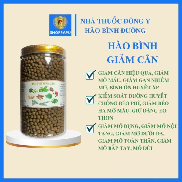 Hao Binh Bo Huyet, Hao Binh Bo Than Sinh Tinh, Hao Binh Bo Ty, Hao Binh Da Day Dan, Hao Binh Da Nang Buong Trung, Hao Binh Gan, Hao Binh Gan (Mun, Viem Da, Ngua,...), Hao Binh Giam Can, Hao Binh Gout, Hao Binh Khop Dan, Hao Binh On Dinh Huyet Ap, Hao Binh Tam Dan, Hao Binh Than Dan, Hao Binh Tien Dan, Hao Binh Tieu Duong Dan, Hao Binh Tieu U Buou, Hao Binh Tri Noi Tri Ngoai, Hao Binh Viem Phu Khoa, Hao Binh Viem Xoang, Hao Binh Suy Gian Tinh Mach, Hao Binh Tieu Dem, Hao Binh Vien Dieu Kinh Hao Binh Vien Cam Cum