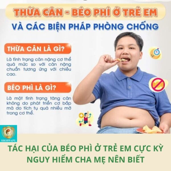 Hao Binh Bo Huyet, Hao Binh Bo Than Sinh Tinh, Hao Binh Bo Ty, Hao Binh Da Day Dan, Hao Binh Da Nang Buong Trung, Hao Binh Gan, Hao Binh Gan (Mun, Viem Da, Ngua,...), Hao Binh Giam Can, Hao Binh Gout, Hao Binh Khop Dan, Hao Binh On Dinh Huyet Ap, Hao Binh Tam Dan, Hao Binh Than Dan, Hao Binh Tien Dan, Hao Binh Tieu Duong Dan, Hao Binh Tieu U Buou, Hao Binh Tri Noi Tri Ngoai, Hao Binh Viem Phu Khoa, Hao Binh Viem Xoang, Hao Binh Suy Gian Tinh Mach, Hao Binh Tieu Dem, Hao Binh Vien Dieu Kinh Hao Binh Vien Cam Cum